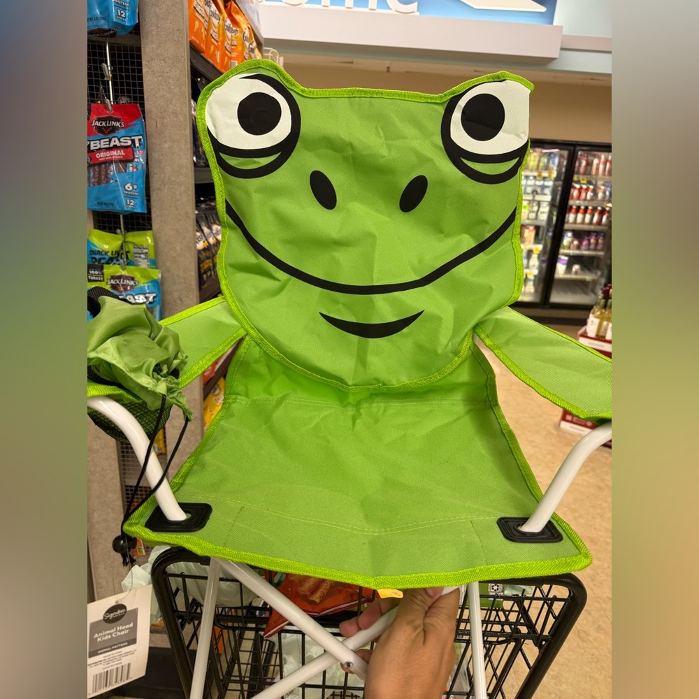 Kids Frog Folding Camping Chair - Bright Green